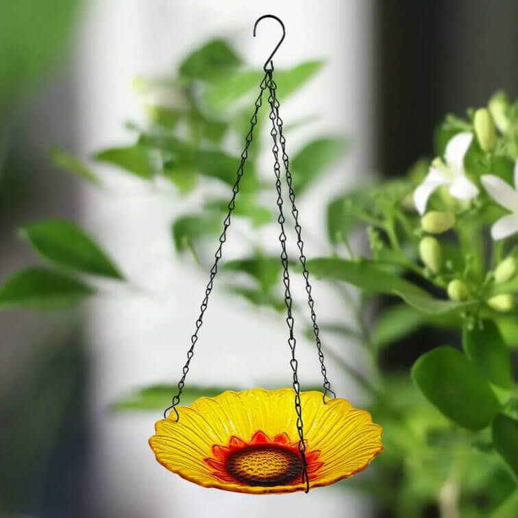 Vogeltränke Hängend Glas