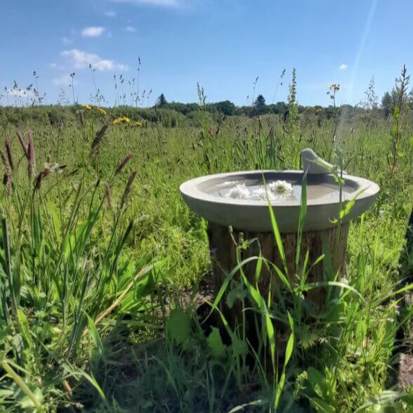 Vogeltränke aus Stein