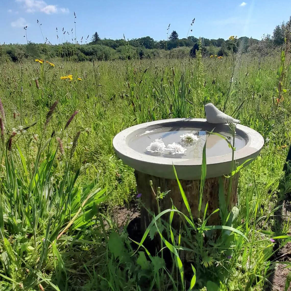 Vogeltränke aus Stein