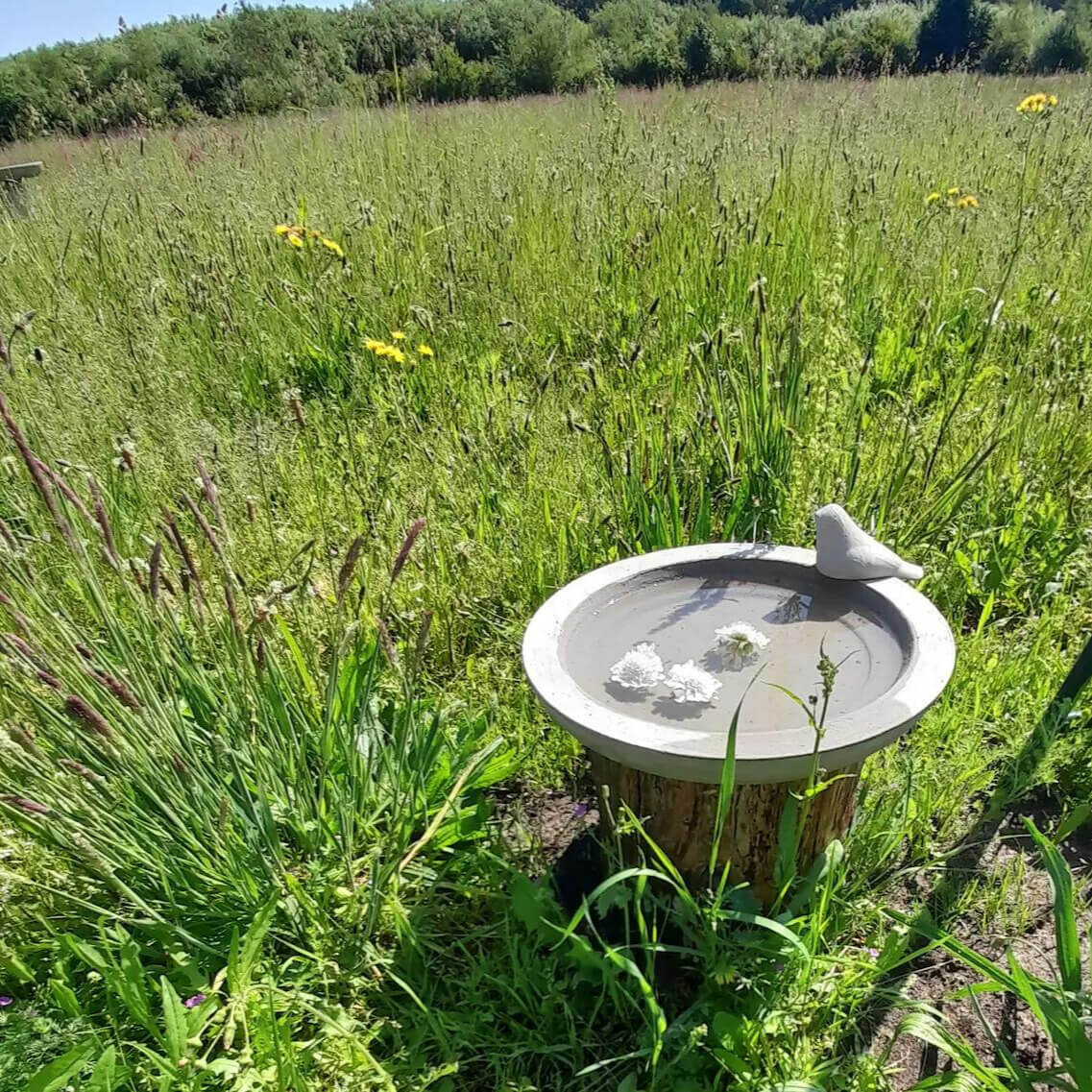 Vogeltränke aus Stein