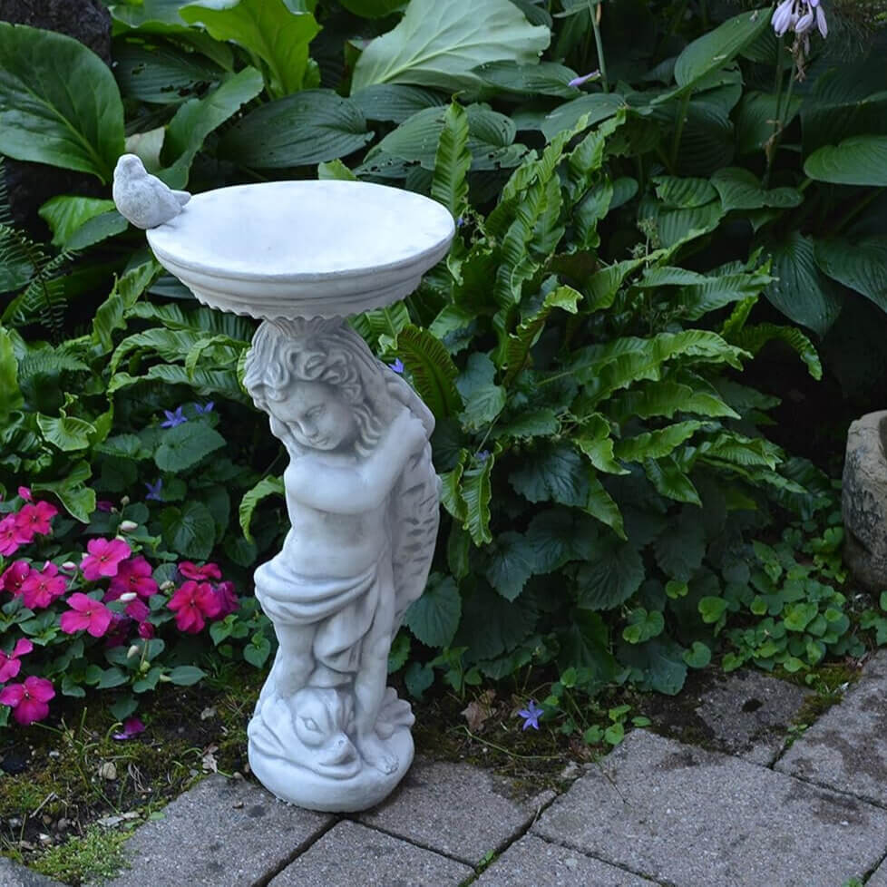 Vogeltranke Stein Stehend
