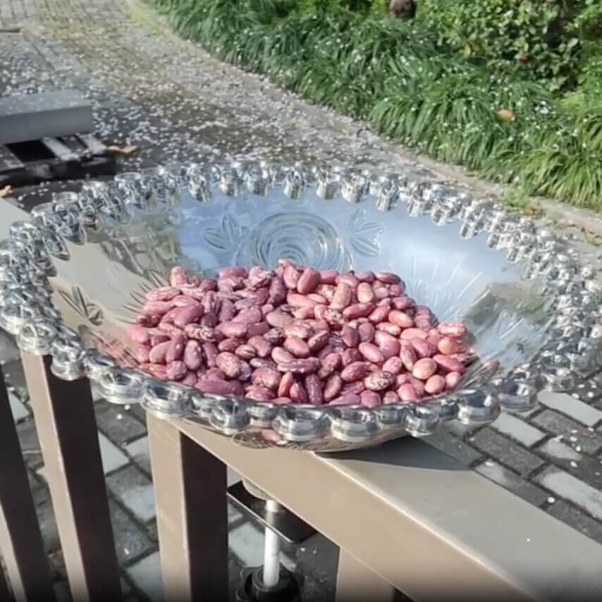Balkon Vogeltränke