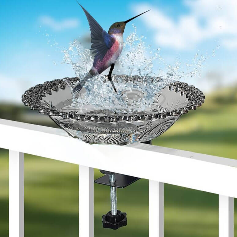 Balkon Vogeltränke