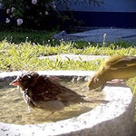 Granit Vogeltränke - Vignette | VogelH2O