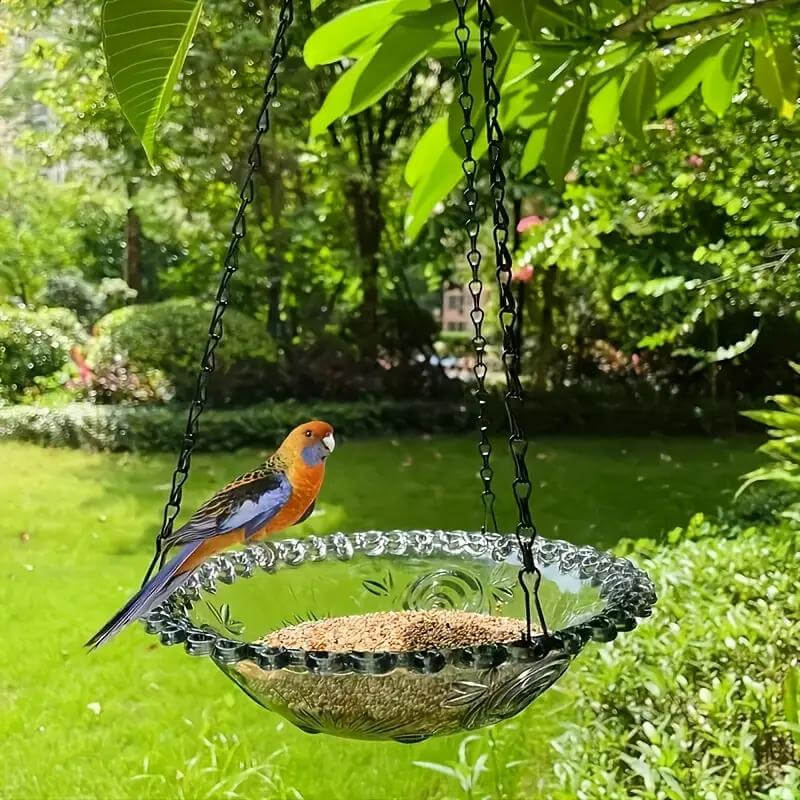 Hängende Vogeltränken