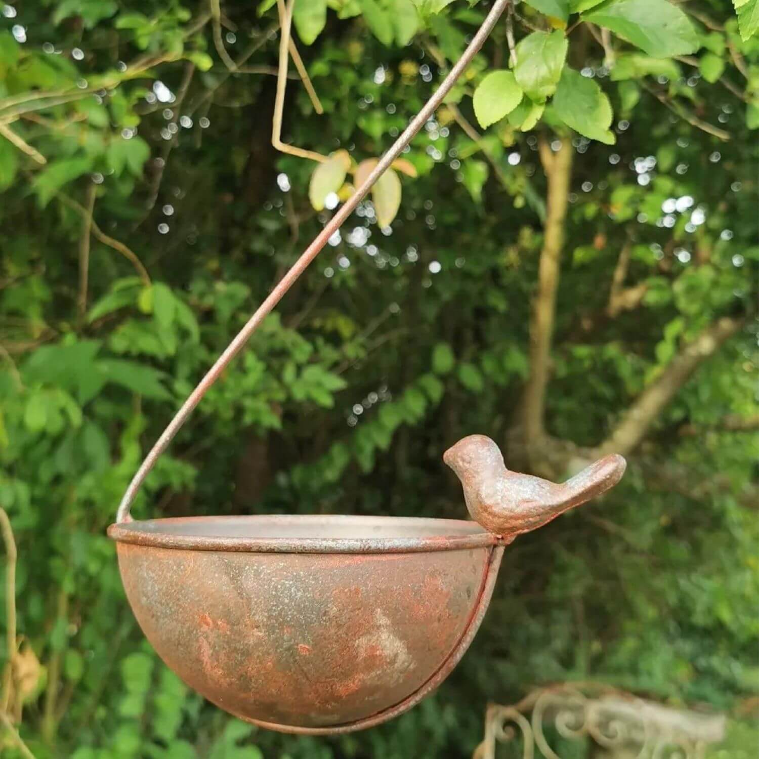 Hangende Vogeltranke