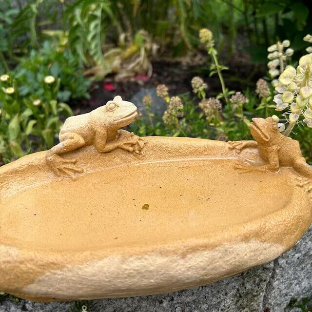 Stein Vogeltränke