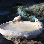 Stein Vogeltränke - Vignette | VogelH2O