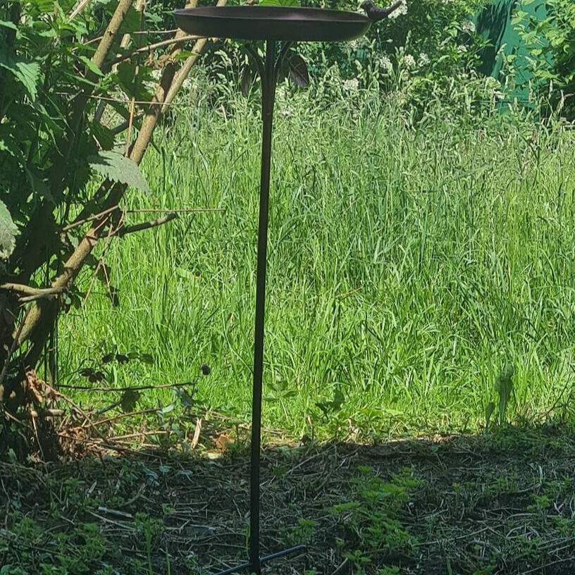 Vogeltränke Stehend Garten