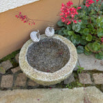 Vogeltränke aus Granit - Vignette | VogelH2O