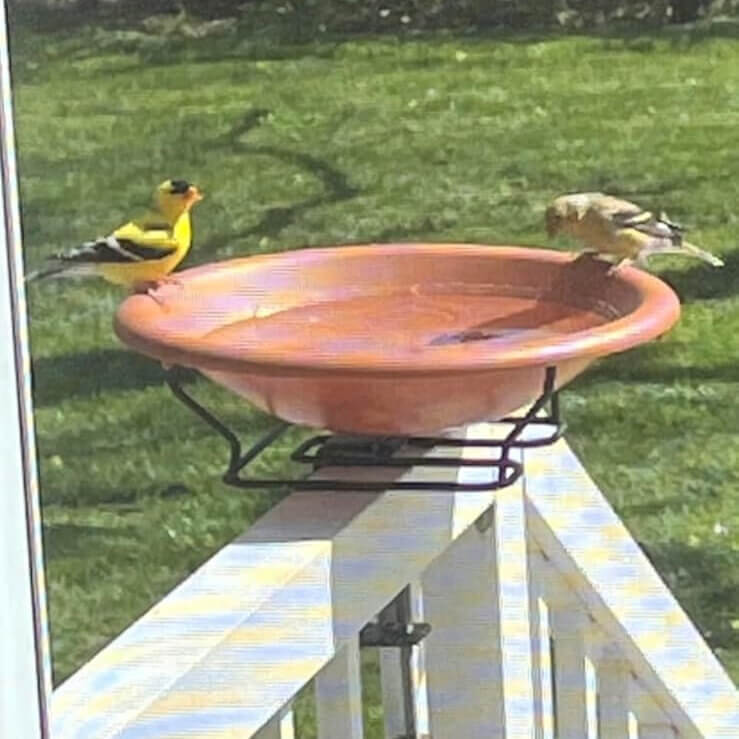 Vogeltränke für Balkon