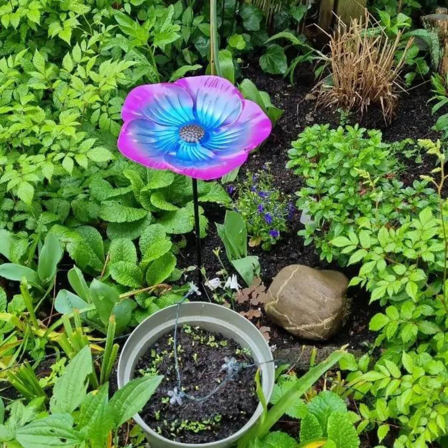 Vogeltränke Blume