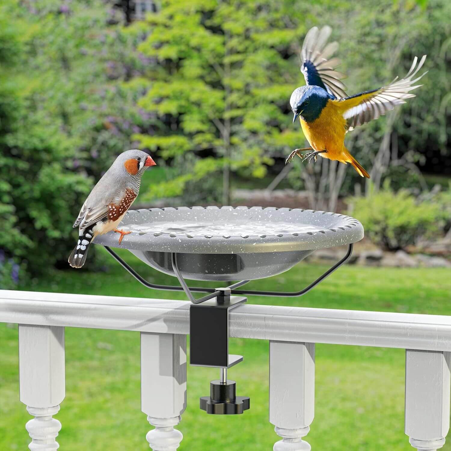 Vogeltränke Hängend Balkon