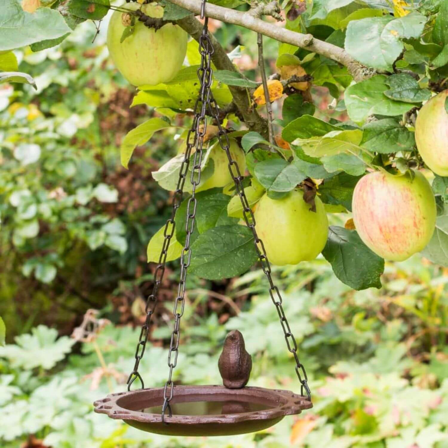 Vogeltränke Hängend aus Gusseisen