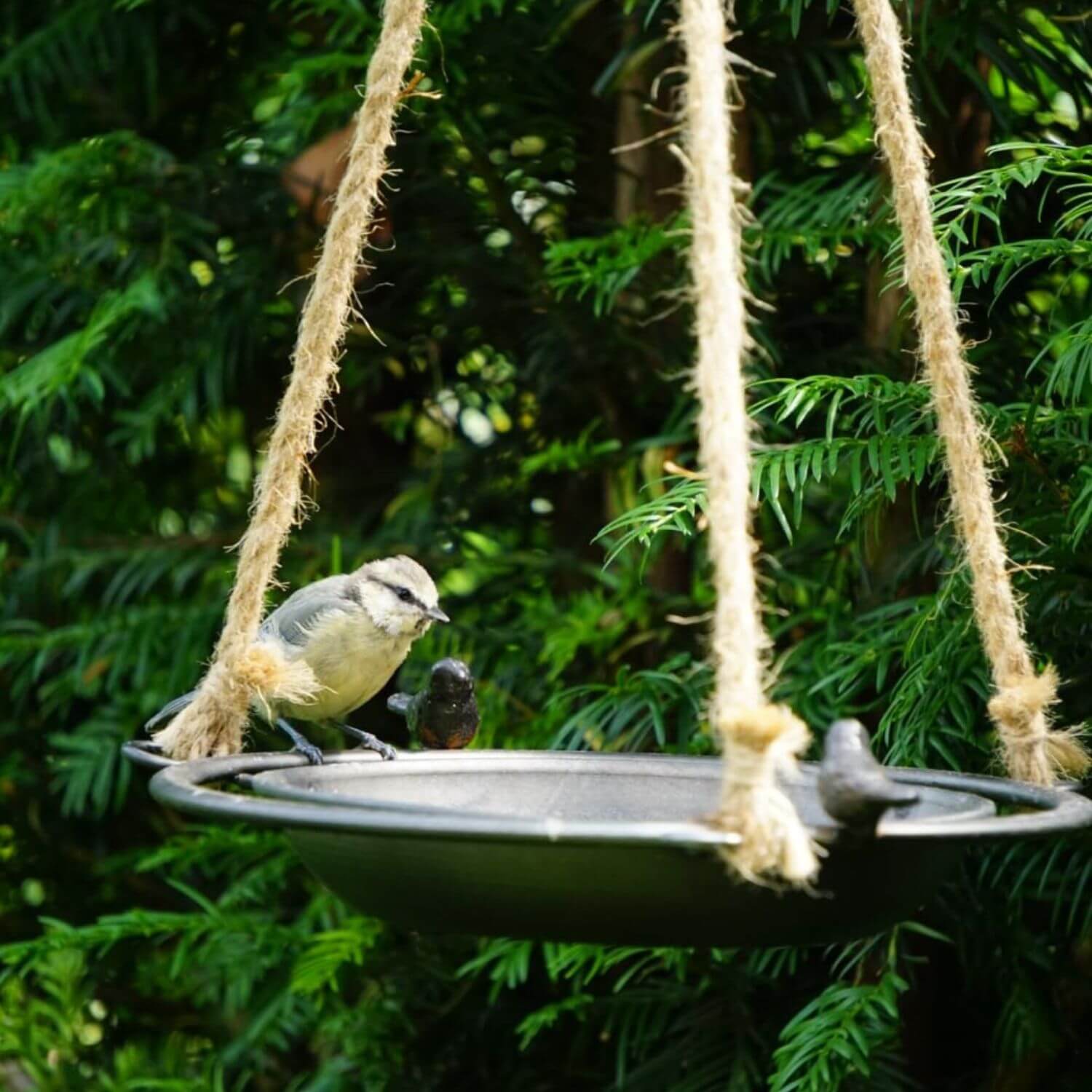 Vogeltränke Hängend aus Metall