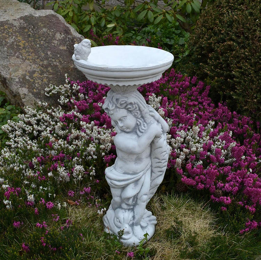 Vogeltränke Stehend Stein