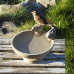 Vogeltränke Stein Stehend - Vignette | VogelH2O