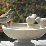 Vogeltränke Stein Stehend - Vignette | VogelH2O