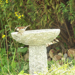 Vogeltränken Granit - Vignette | VogelH2O